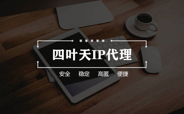 【阿拉善盟代理IP】如何快速搭建代理IP？怎么检查代理的效果？